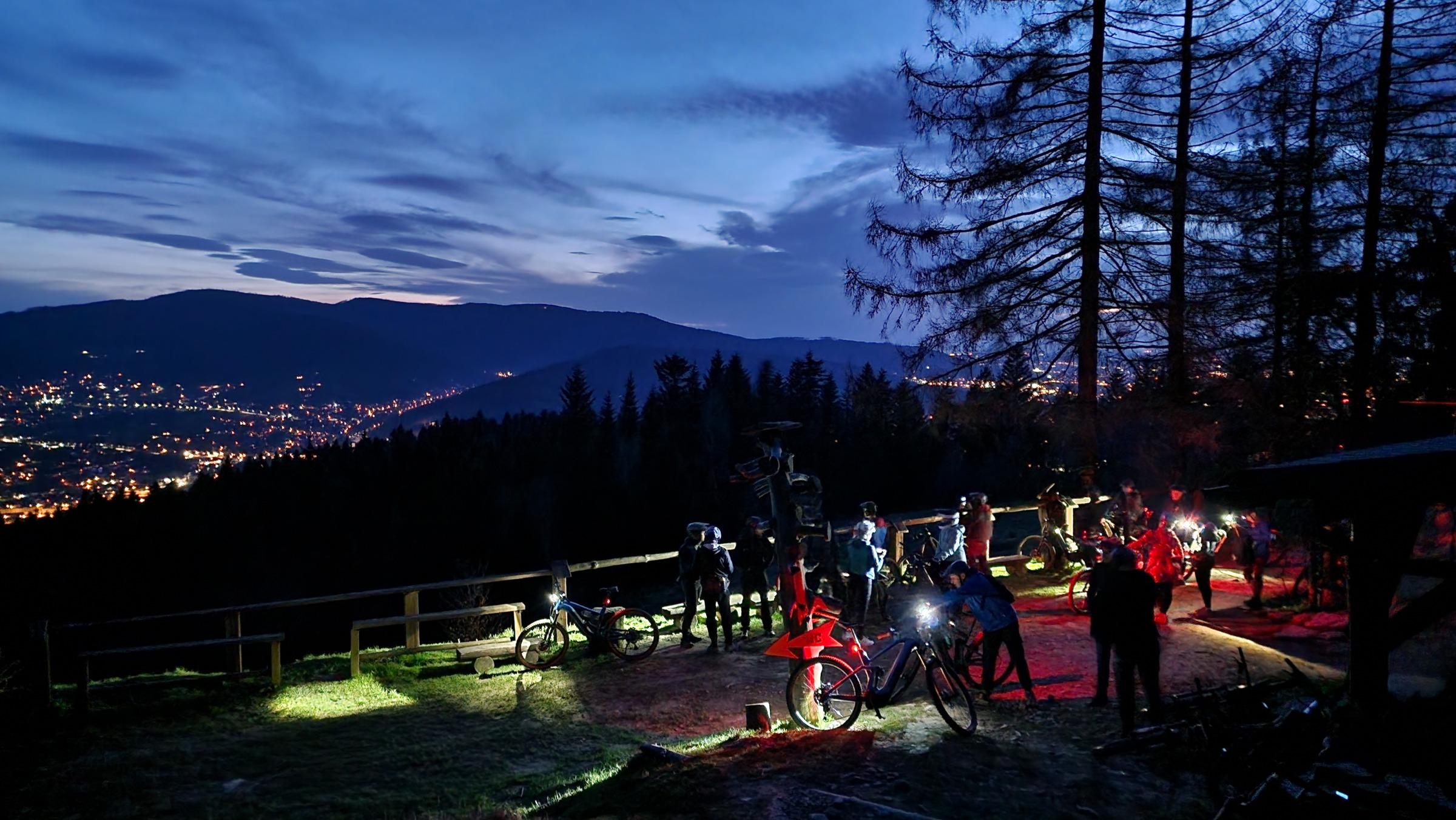 Warsztaty jogi w parku